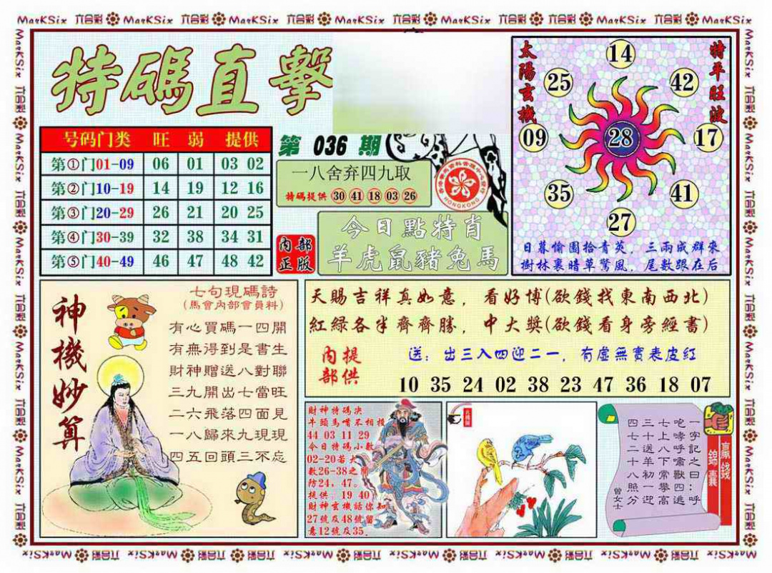 036期特马直击[图]