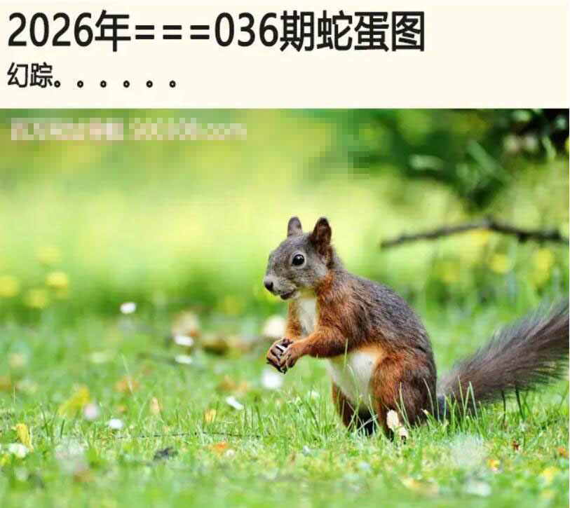 036期另版蛇蛋图[图]